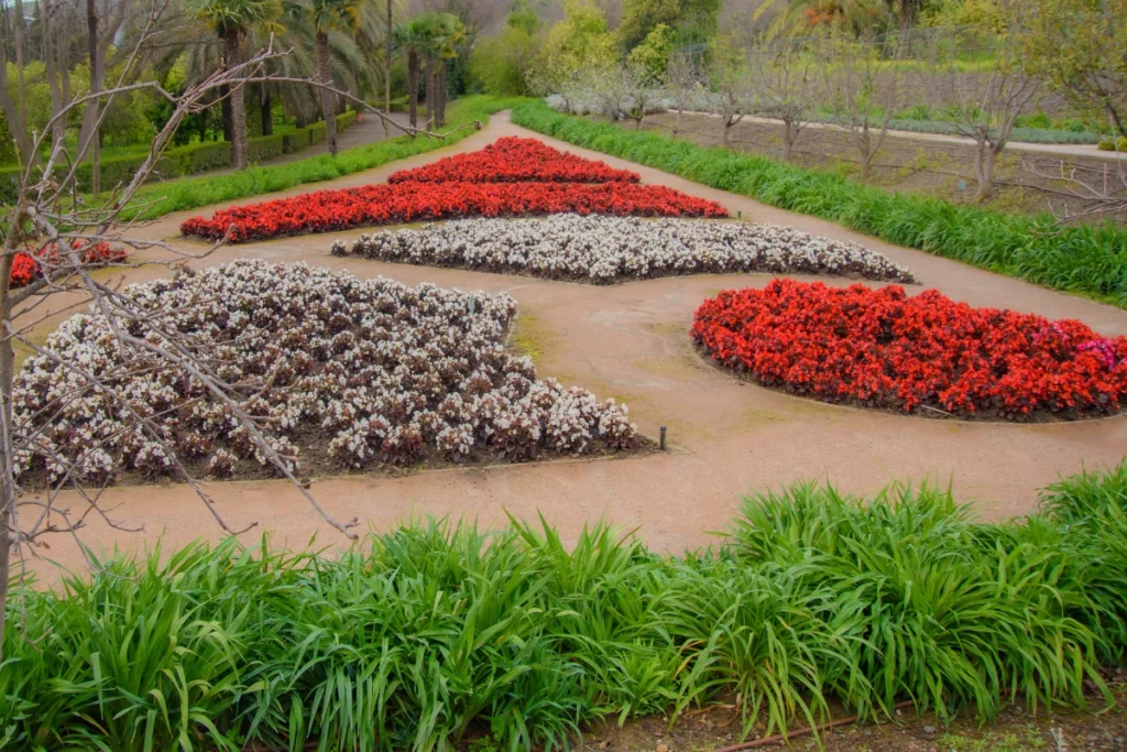 Malaga - ogród botaniczny